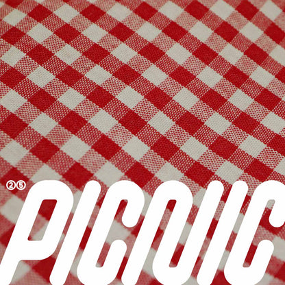 Picnic rounded display typeface headline over red gingham background